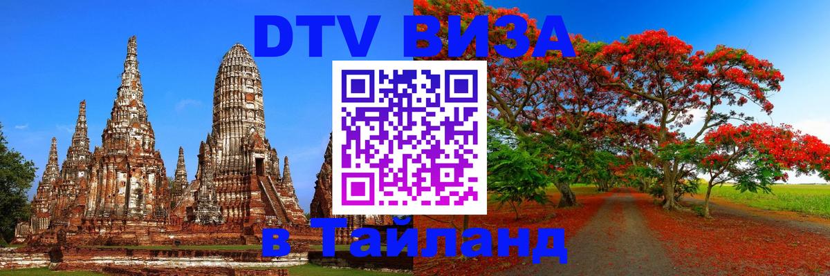 Оформление DTV визы под ключ: стоимость и тарифы, только загранпаспорт - Щёлково 